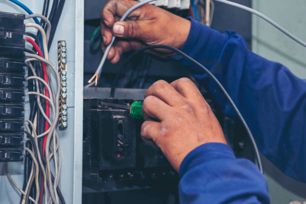 Best Ceiling Fan Installation Electrician  in Palacios, TX